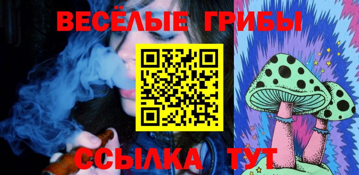 Псилоцибиновые грибы мухоморы Киселёвск